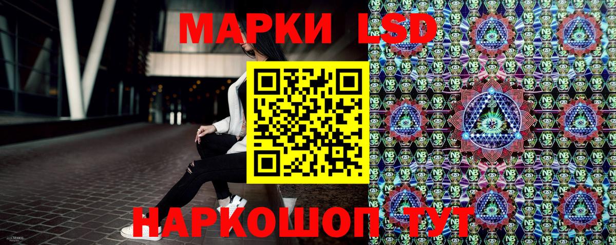 Наркотические марки 1,8мг  Наркотические марки 1,8мг  Каменск-Шахтинский  где купить   Вход с VPN 